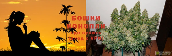 спайс Каменногорск