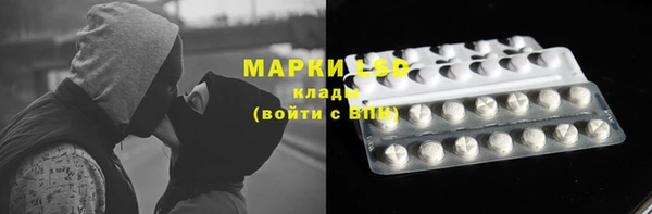 спайс Каменногорск