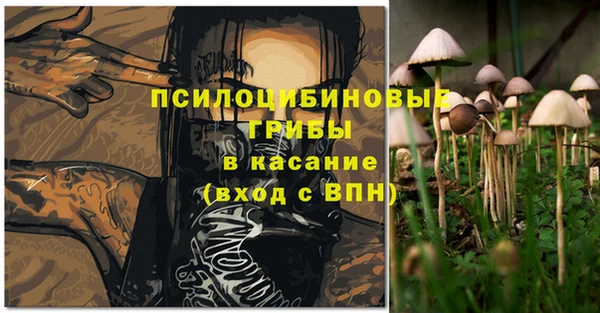 мдма Каменка